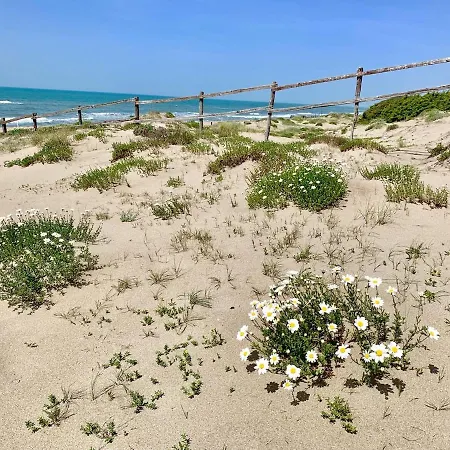 Rome * Lido di Ostia